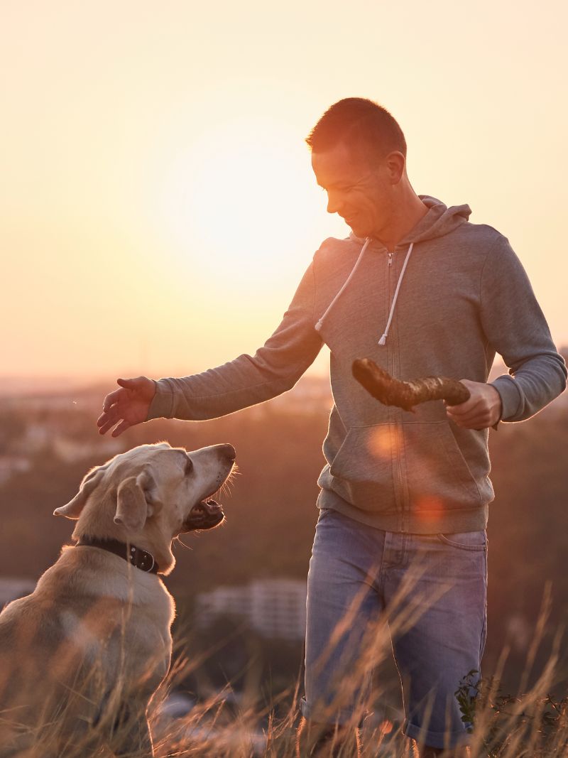 A man and his dog are seen in a field