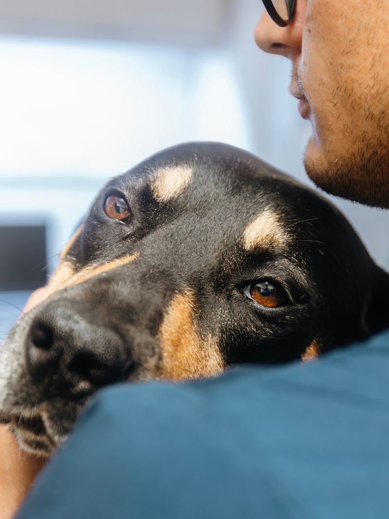 A man holds a Sad dog close to his chest