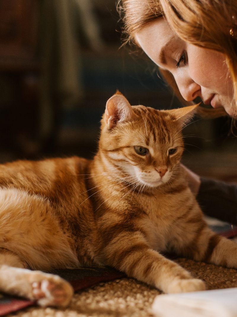 A woman gently pets a cat while sitting on the floor