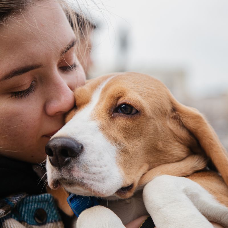 A woman holds a dog close to her chest