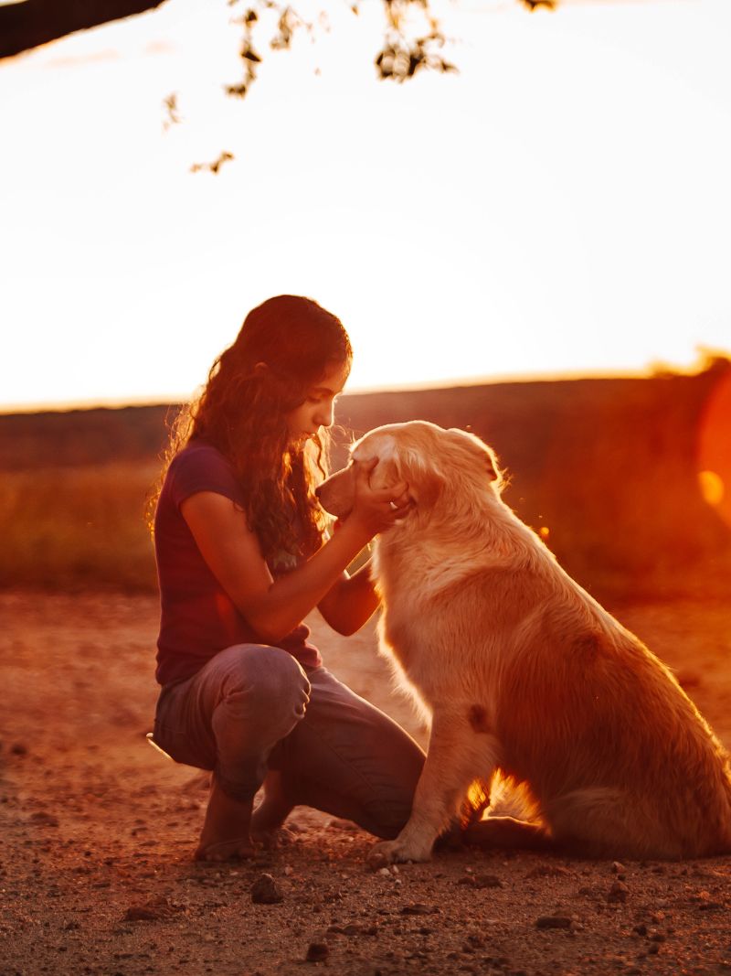 A woman kneels beside her dog at sunset
