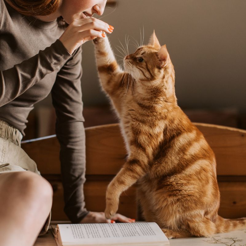A woman pets a cat while sitting on a bed