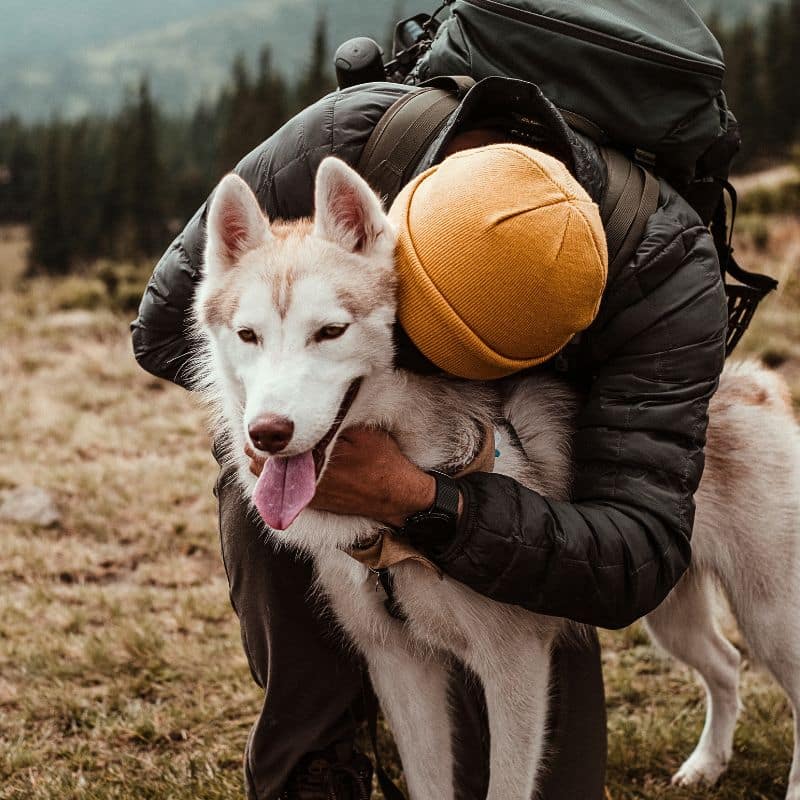 person wearing a yellow beanie and hugging their siberian husky dog while hiking through the wilderness